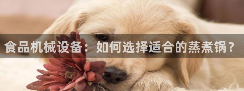 九游会J9官网入口