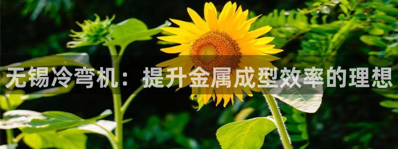 九游会官网j9
