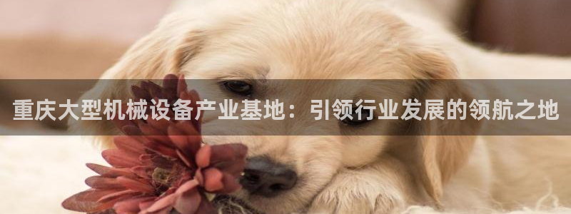 九游会官方视讯