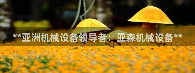 j9游会真人游戏第一品牌