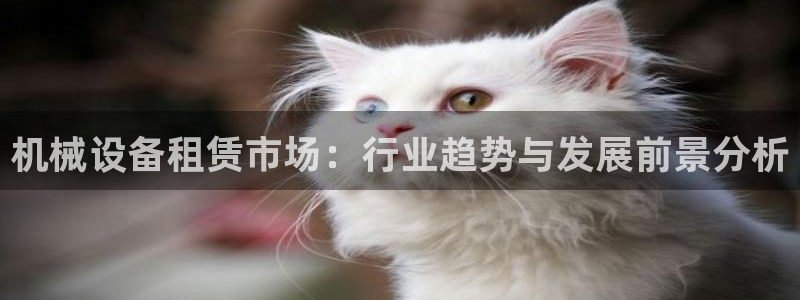 九游会亚洲唯一合作伙伴