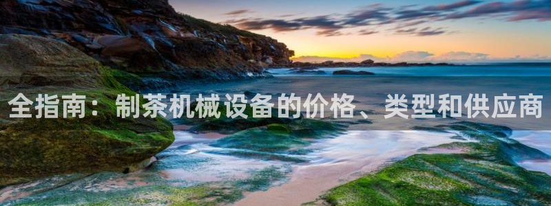 J9九游会ag：全指