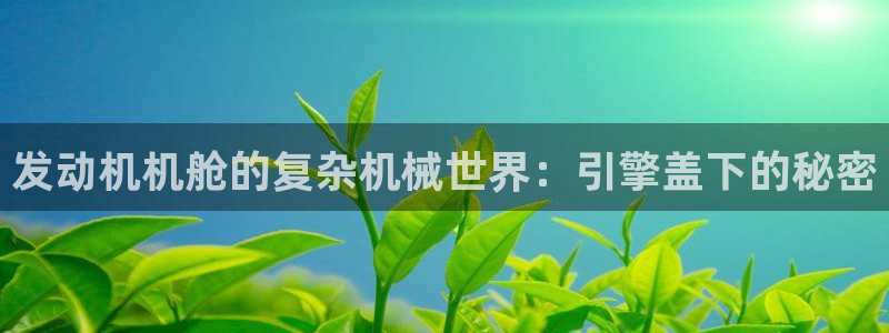 J9九游会官方平台