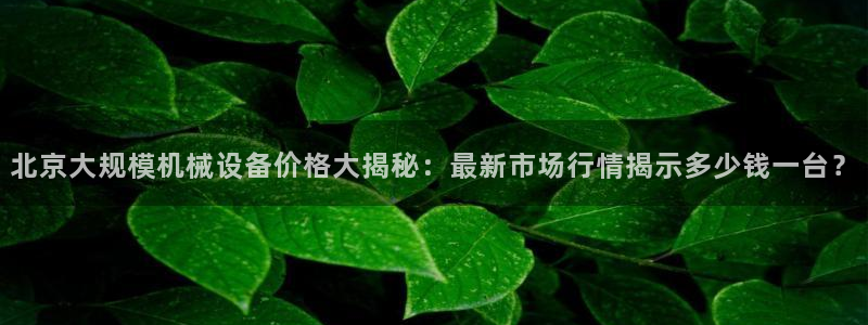 9游会app