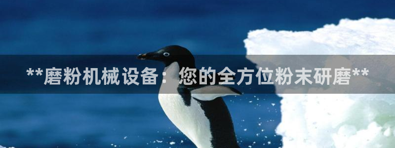 九游会的网址是多少