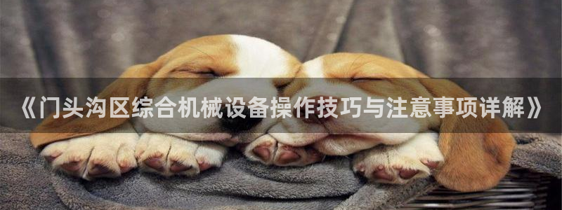 九游会官方网